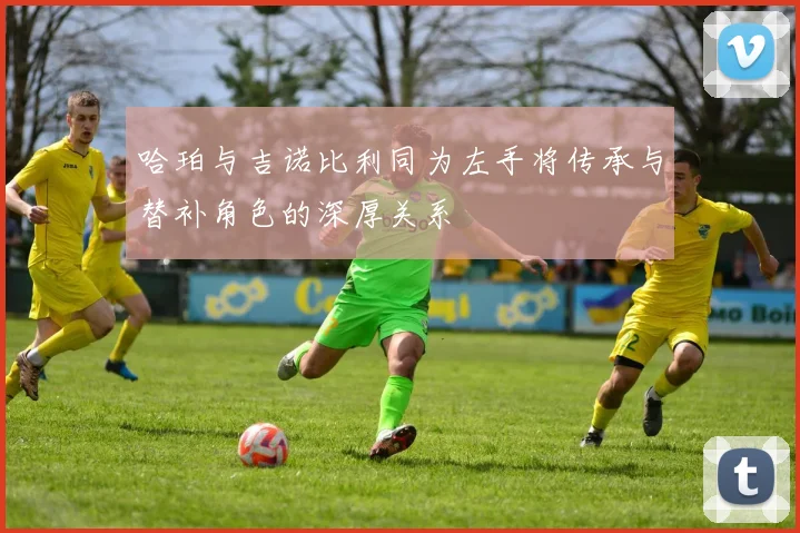 哈珀与吉诺比利同为左手将传承与替补角色的深厚关系